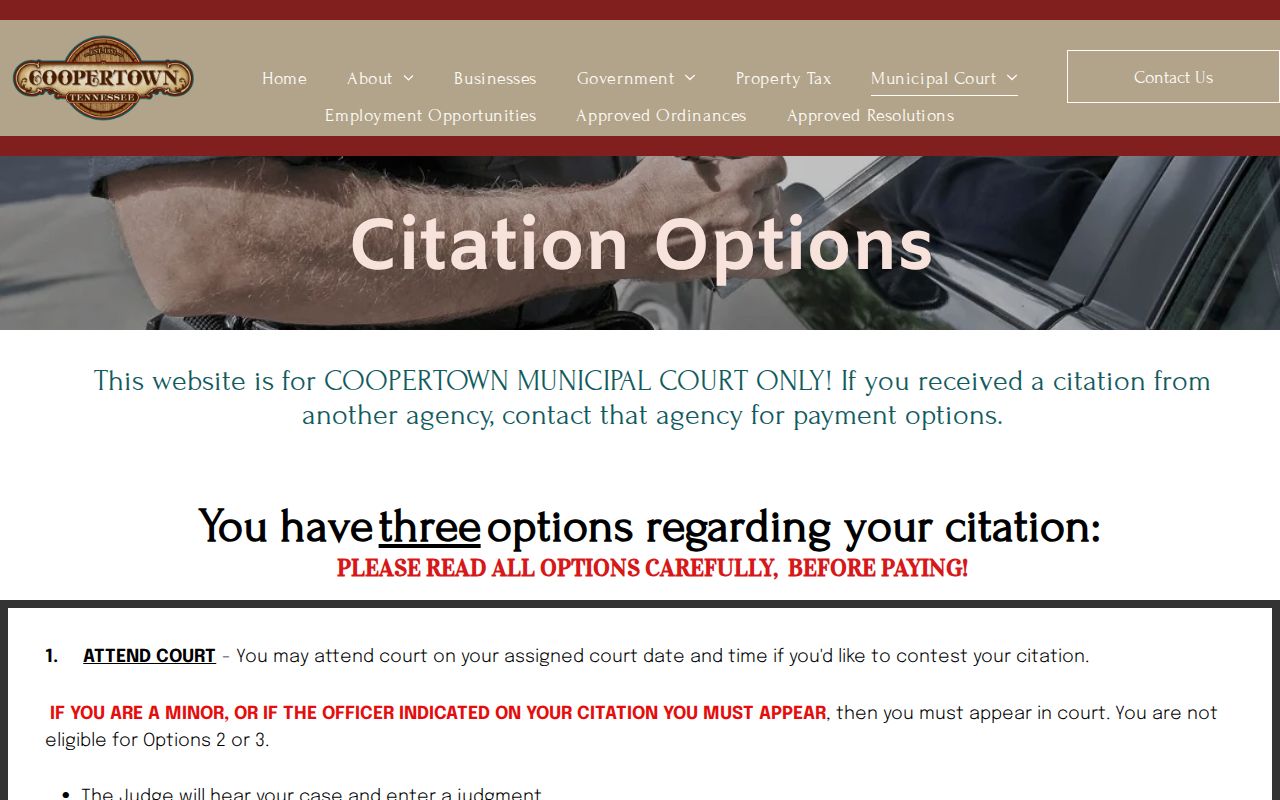 Coopertown citation options for court school or payment